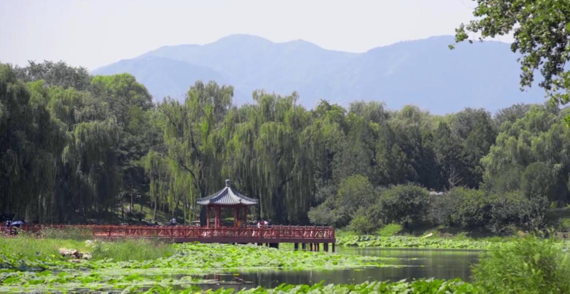 【补充】：圆明园，这座被誉为“万园之园”的皇家园林，是我国古代园林艺术的巅峰之作