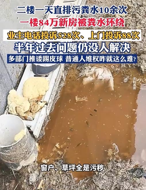 江苏一男子回家，发现家里全身粪水，跟邻居沟通无果，打了528次投诉电话，上门投诉