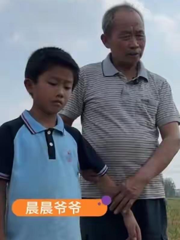 看哭了！穷人家的孩子早当家，父亲节前，河南9岁男孩拉着爷爷去给死去的父亲拔草，小