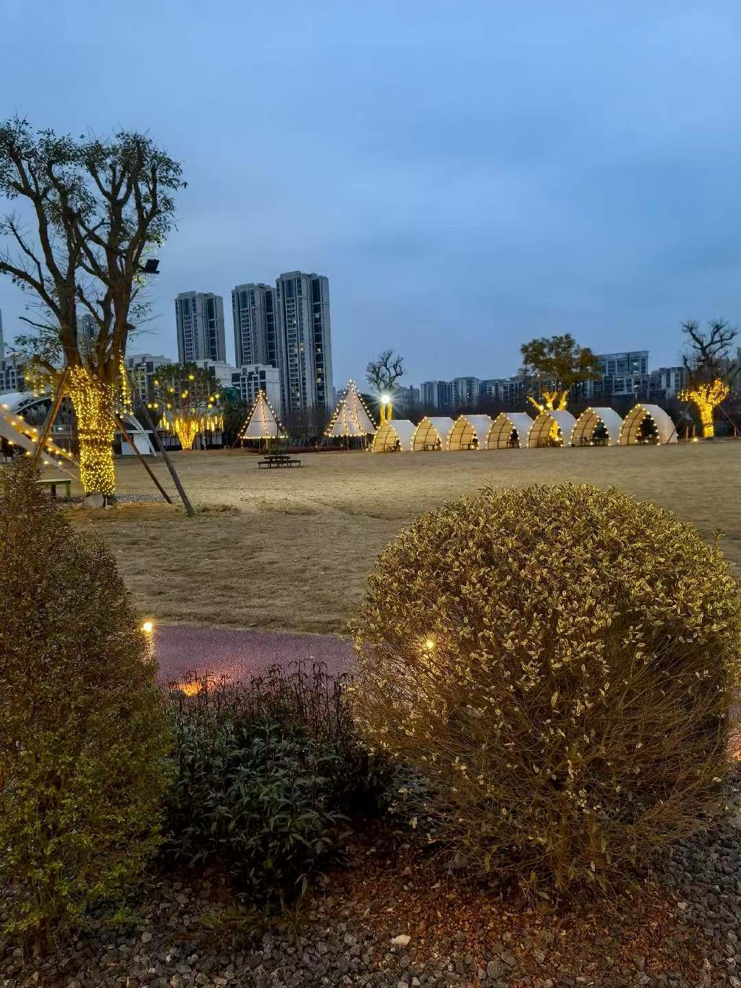 冬日生活打卡季夜色中的城市公园