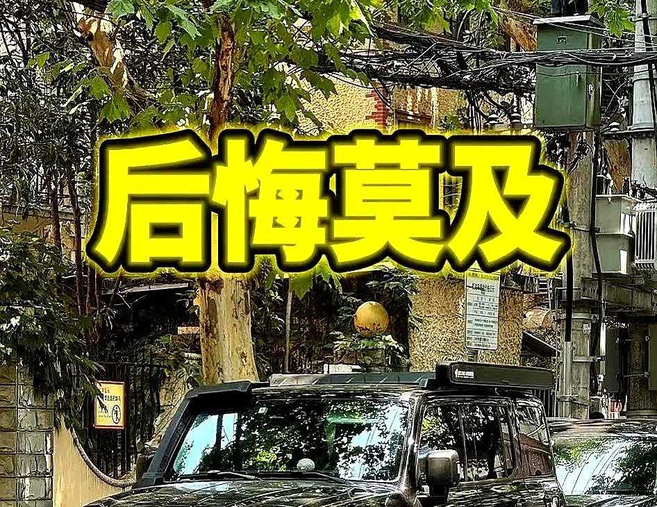 给大家一句忠告！本人坦克300换电车的教训，如果你手里有燃油车，不管新的