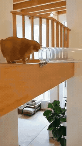 这个是AI吧？有点儿过分了哈。