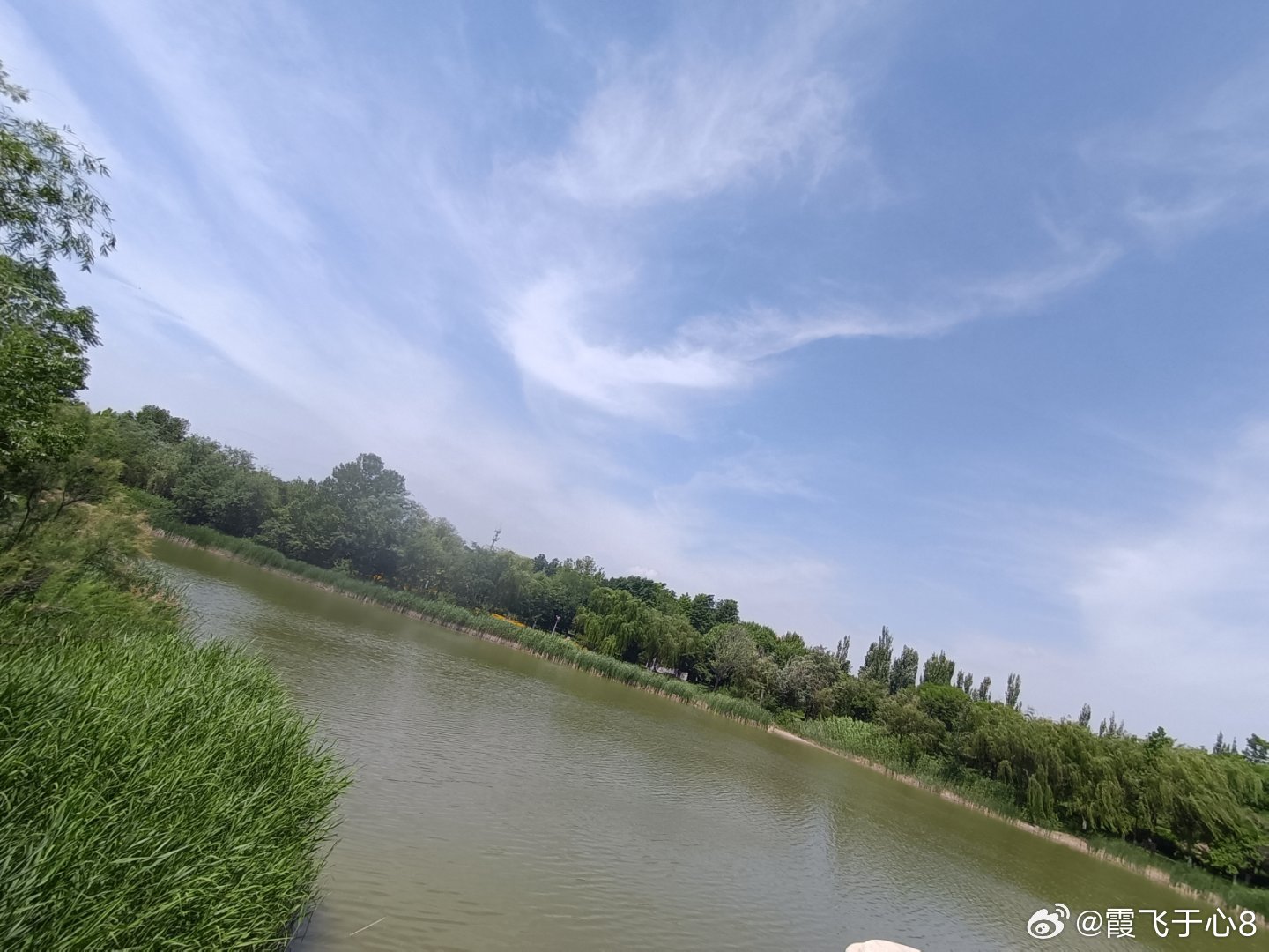 手机摄影寻寻觅觅的诗意不如偶遇天地明媚好时光