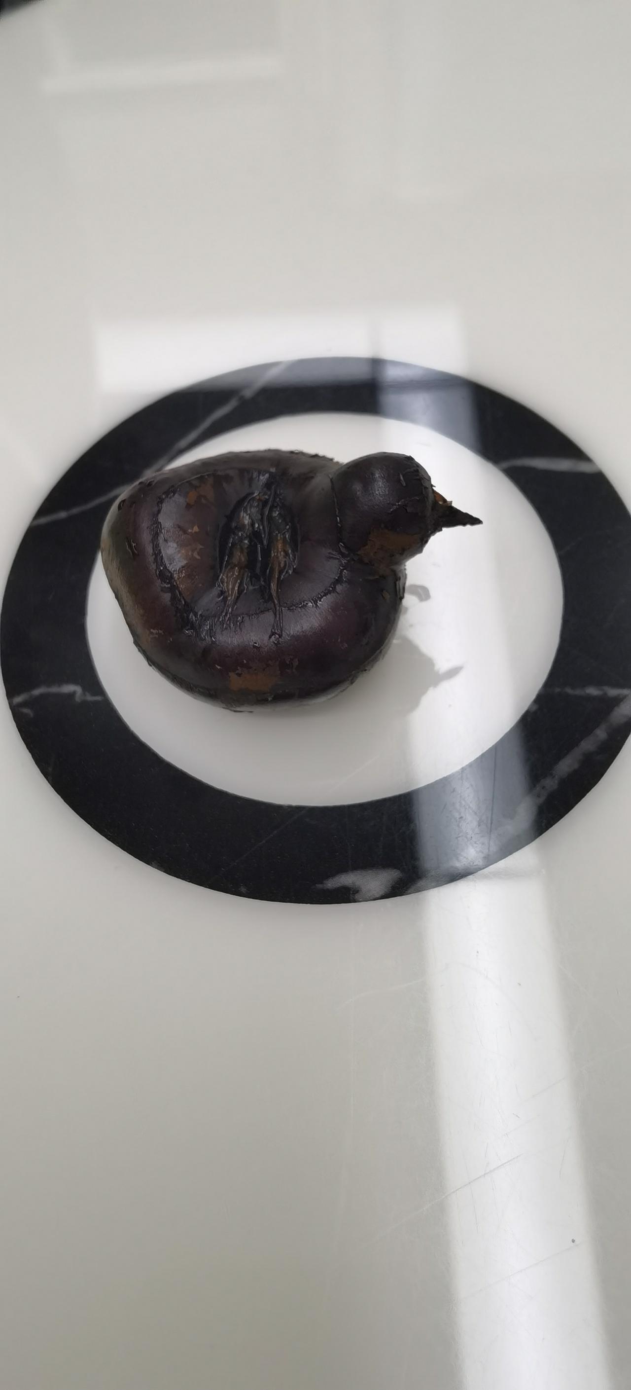 太奇特了，太有趣了，太可爱了，这颗马蹄你觉得像什么呢？今天（3月13日）在街