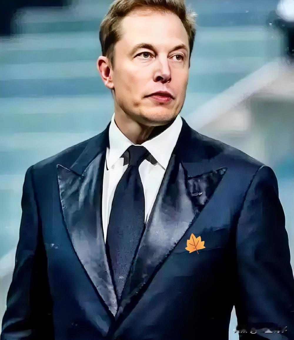 美国这是急眼了！特斯拉疯狂多州建厂，要硬生生打造太阳能霸权。就在近日，美企特斯