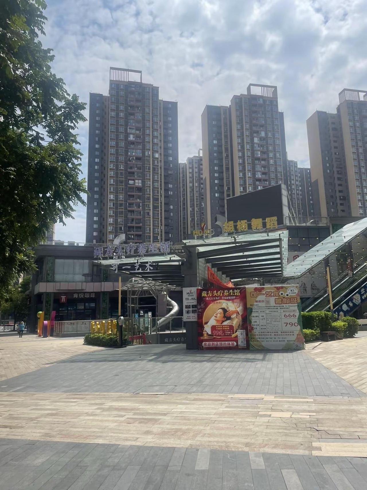 佛山市禅城区的发展