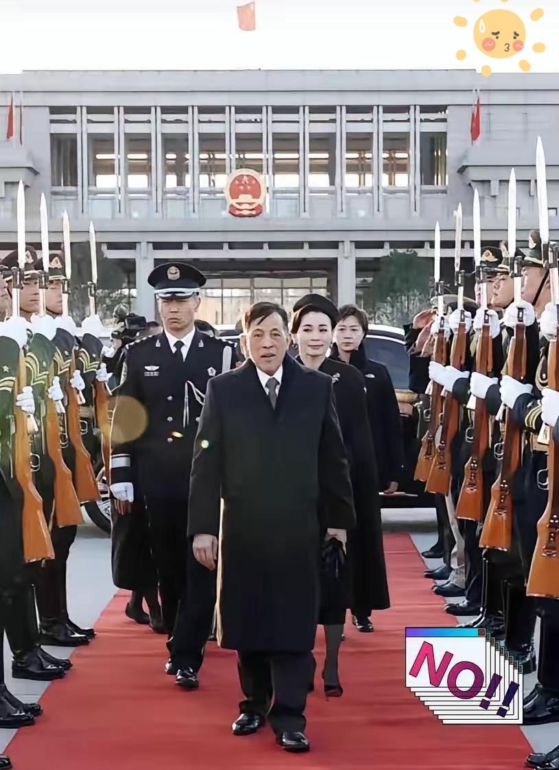 人家泰国国王都亲自登门拜访了。他还在那拿捏姿态。这事儿我越想越不对劲。