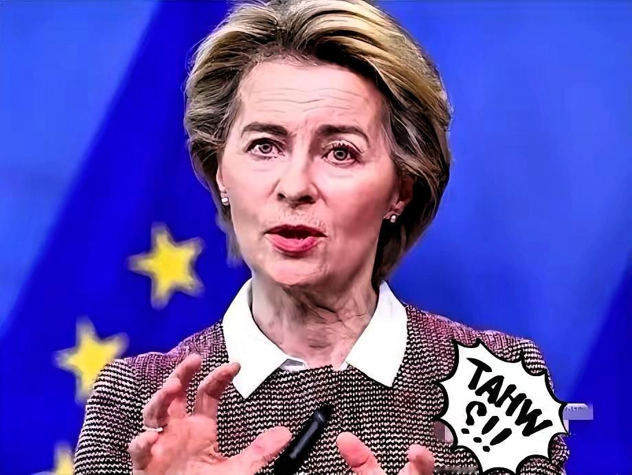 欧盟真急了​​12月27日深夜，欧盟委员会主席冯德莱恩、科斯塔这帮欧洲大佬，赶