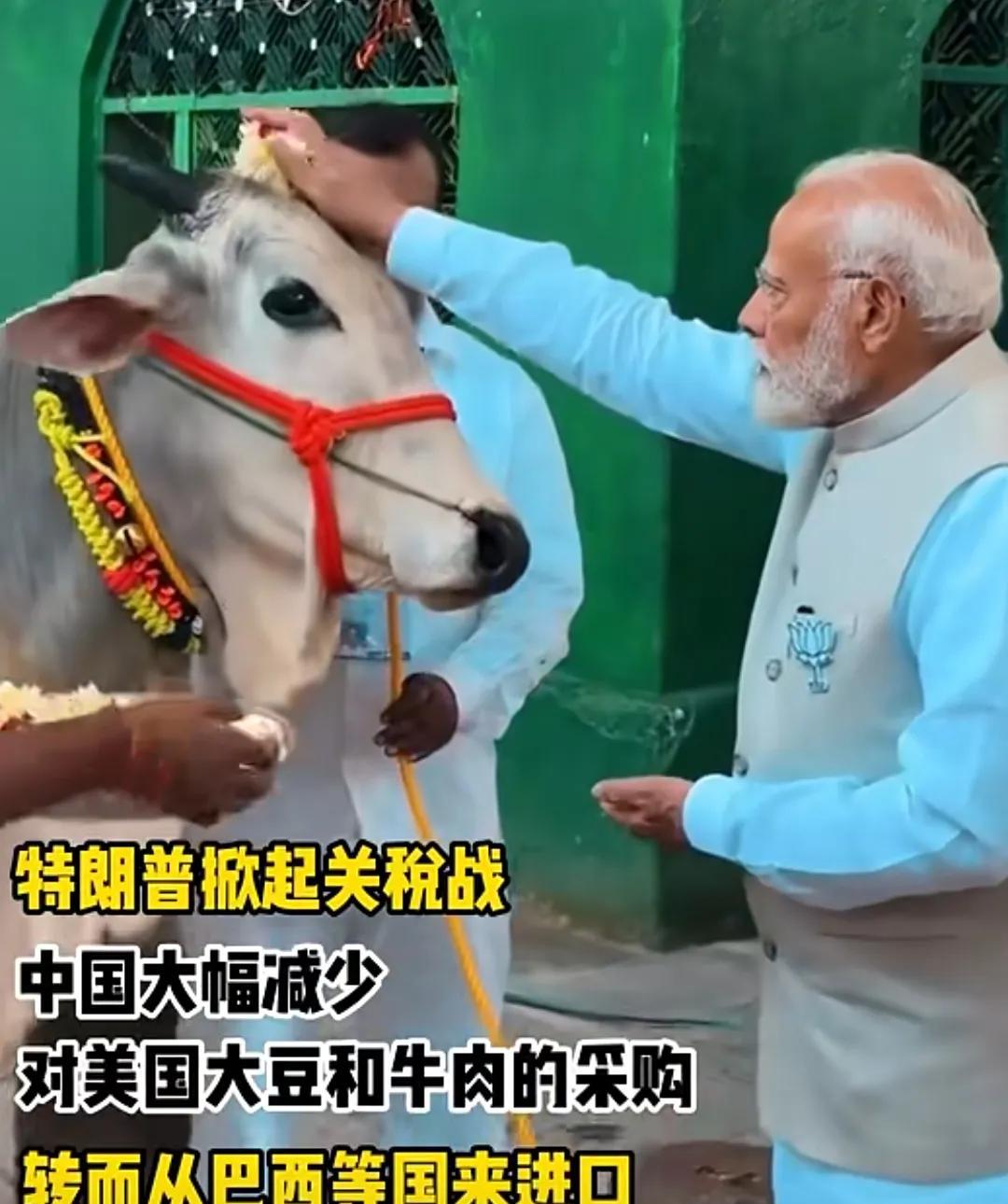 全世界都在看一个美国议员的笑话。自从我们停止进口美国牛肉后，美国的共和党议员给了
