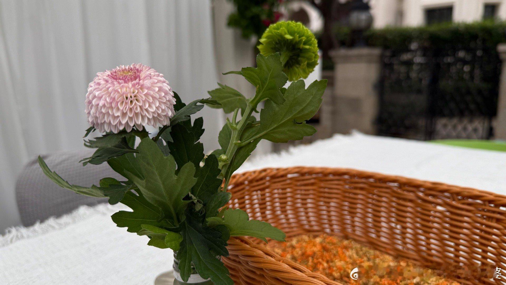 今天要在户外吃烤羊，却下起雨来了。我和某人的日常​​​