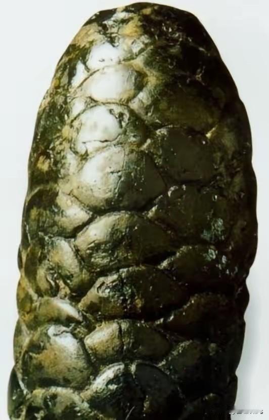 松塔形古器现世记1973年，宁夏一对年轻的夫妻，天没亮就出门赶集，走在前方的