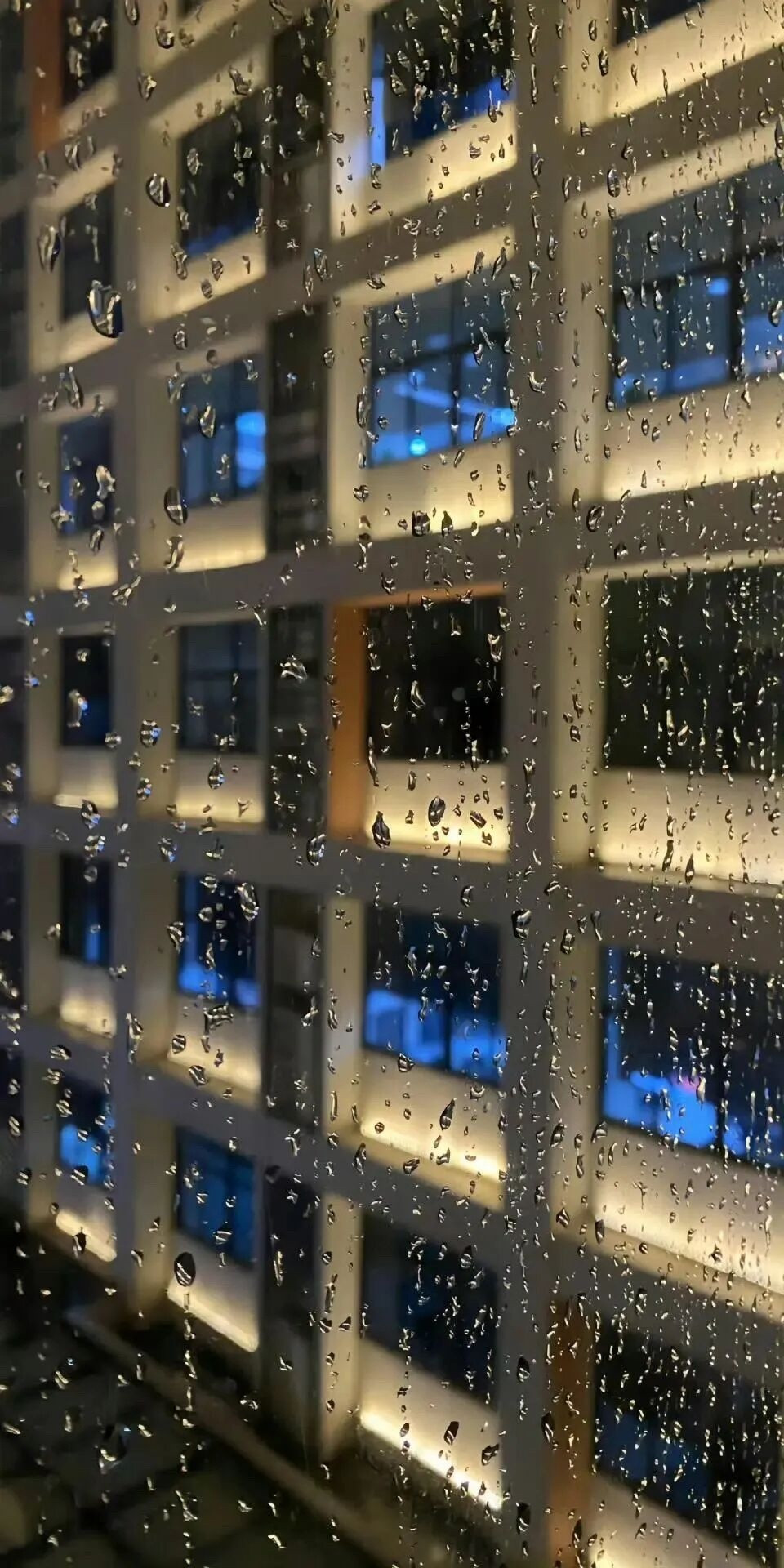 share高清无水印手机壁纸