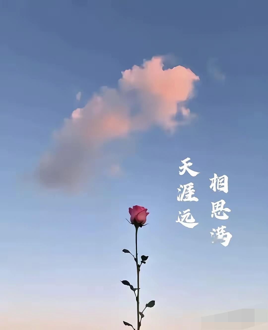 下联：乡思且看彩云飞。（图片来自网络）