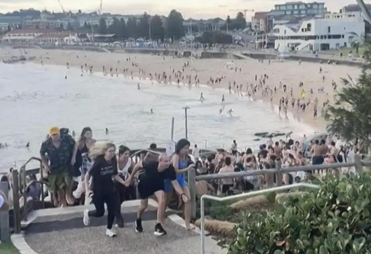 澳大利亚的父子枪手，针对的是犹太人。一开始还纳闷，这对父子怎么能够从那么多人中，