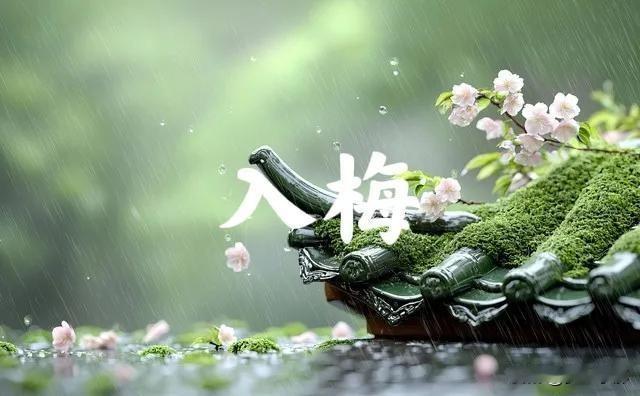 今日入梅！无论多忙，记得入梅“最不能”做的5件事，别不当回事2026年6月1