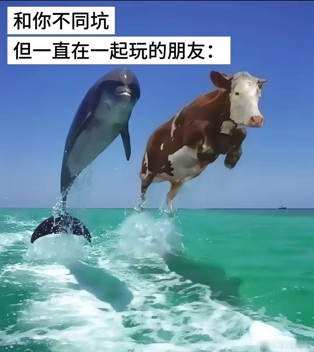 那很好了​