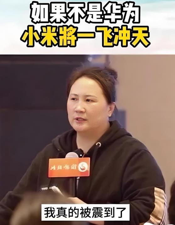 如果不是华为，小米将一飞冲天，一女专家如此总结。不知道这专家是如何总结出来的