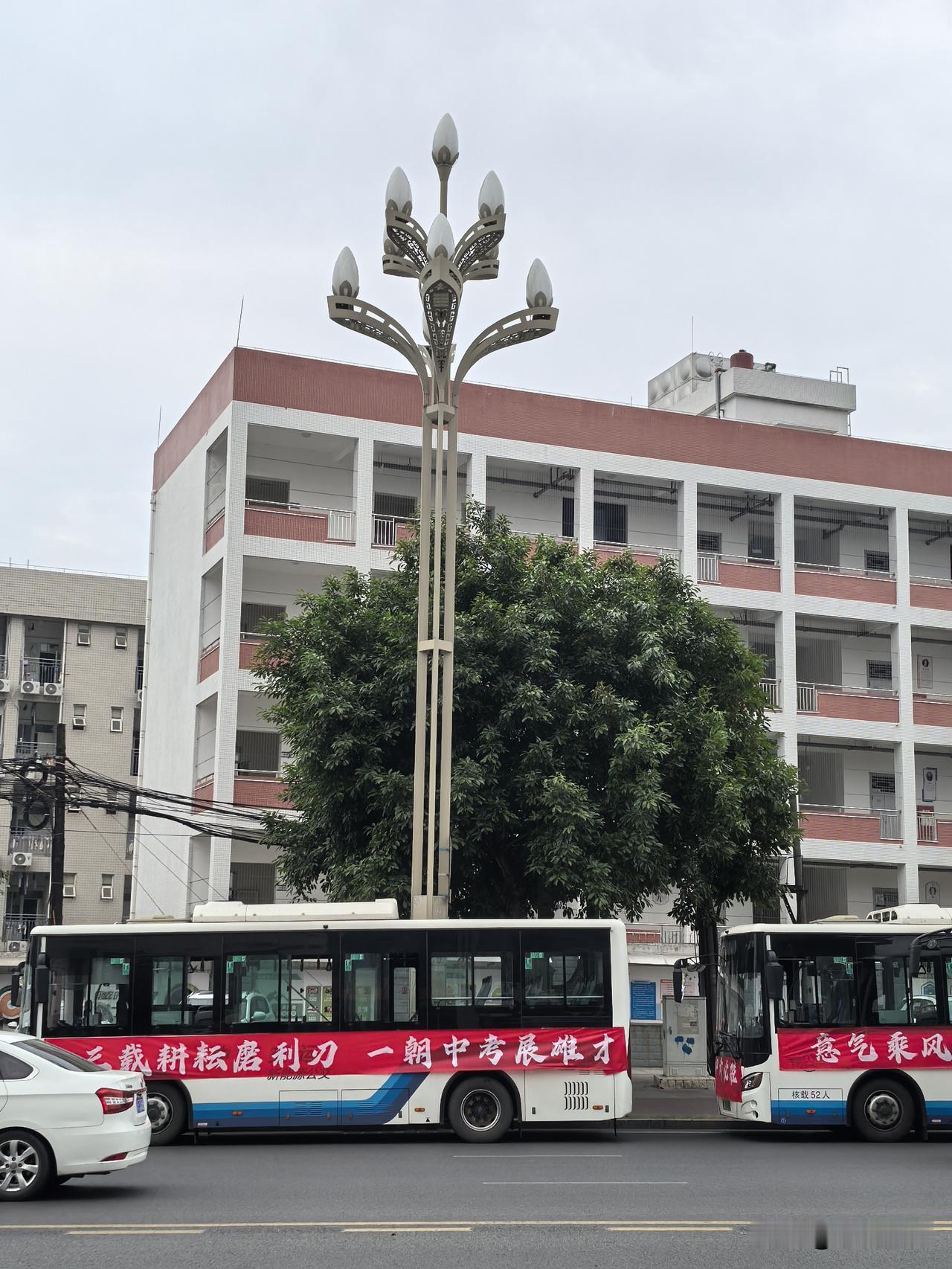 老母亲84岁了，膝下三儿一女。老母亲去年跌了腿，在医院里住了大半年，然后出院，