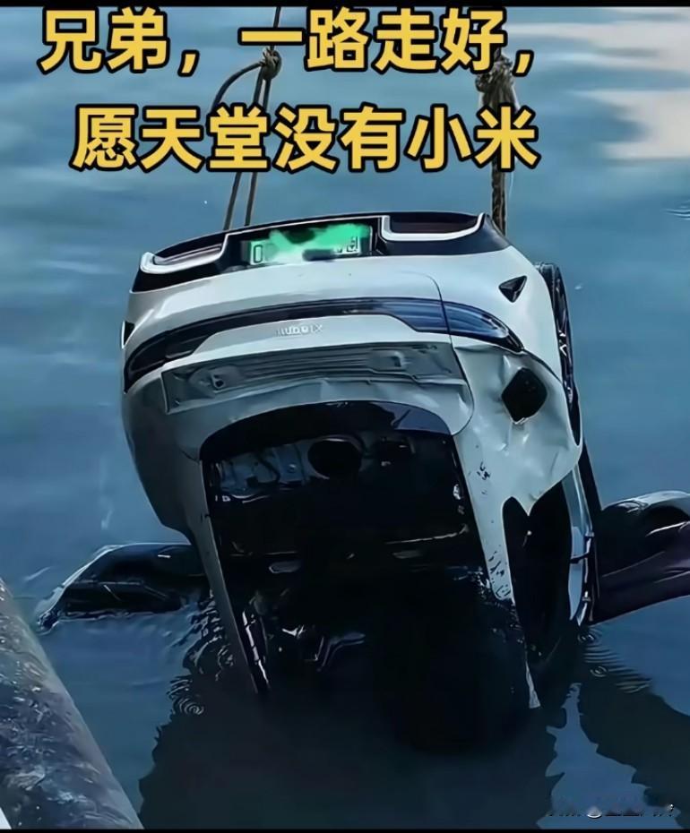 现在雷军应该挺后悔生产汽车吧，口碑都崩了，还走了很多人保护好自己，照顾好自己家