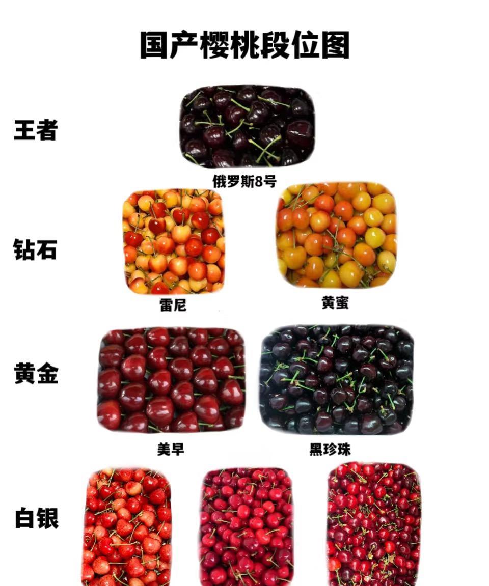 今年的樱桃价格很合适，从5月开始基本每天都在吃，有贵的有便宜的，买了大半个月以后