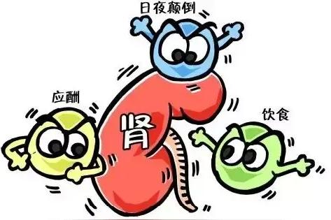 天堂可能很美，能不去还是别去。有位尿毒症患者开玩笑说：天堂肯定很美，否则去了