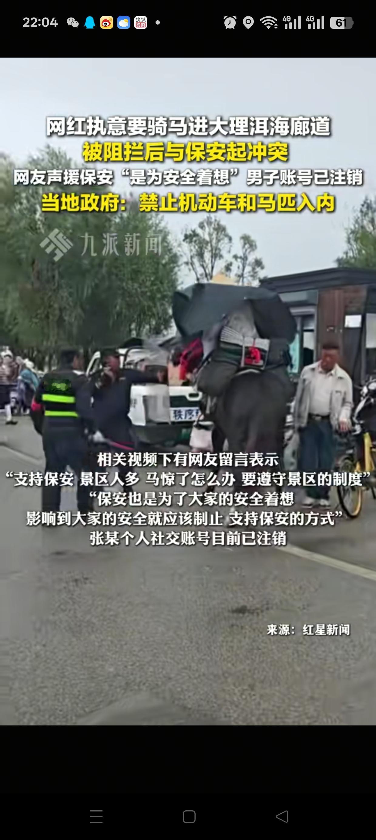看来以后策马奔腾，仗剑天涯的诗和远方要落空了！当大理洱海廊道的绿意里，传来马