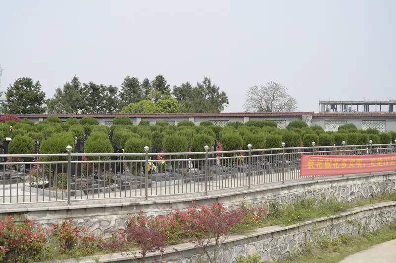 终于不用买墓了！3月30日新规落地，千万人一夜安心殡葬新规，3月30日起施行