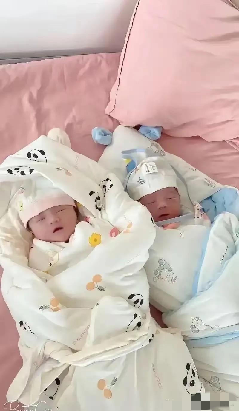 女孩收到转账，28888元。拒收，拉黑。怀孕八个月，双胞胎。之前说好的十万彩礼