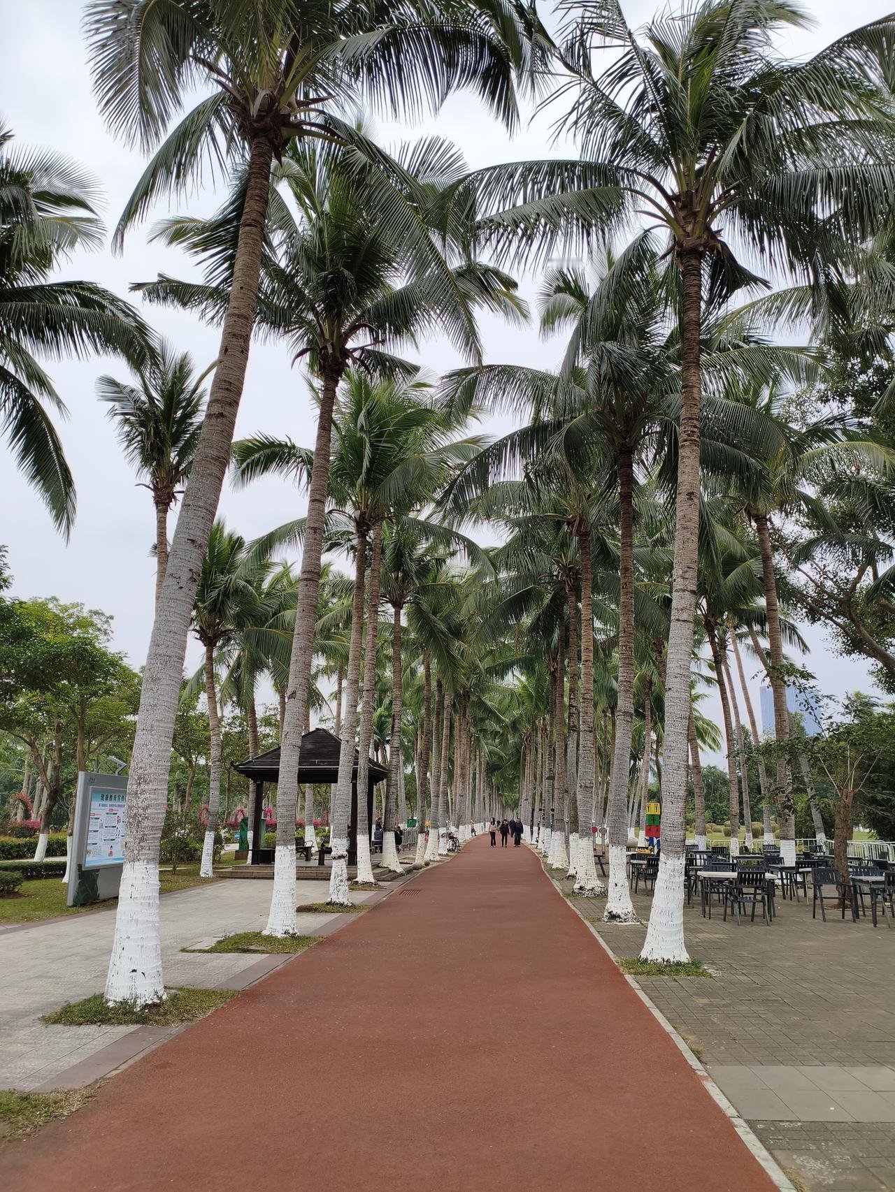 刚刚舅妈和我视频，说她在海南报了一个5天4宿的旅游团，住的是万豪酒店。但最后一天