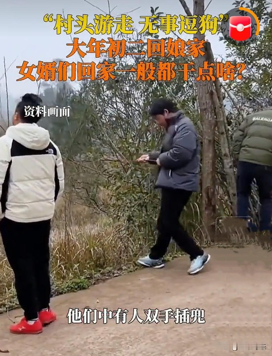 大年初二“迎婿日”：全国女婿统一“渡劫”？村头游走、无事玩狗，真相太好哭！家