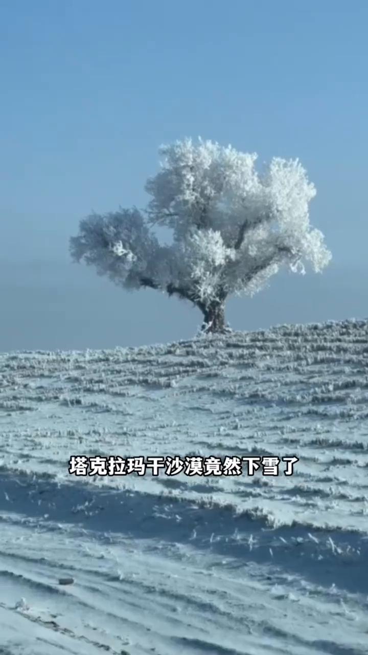 中国最大的沙漠塔克拉玛干下雪了。中国最大的沙漠塔克拉玛干沙漠竟然下雪了，这已经