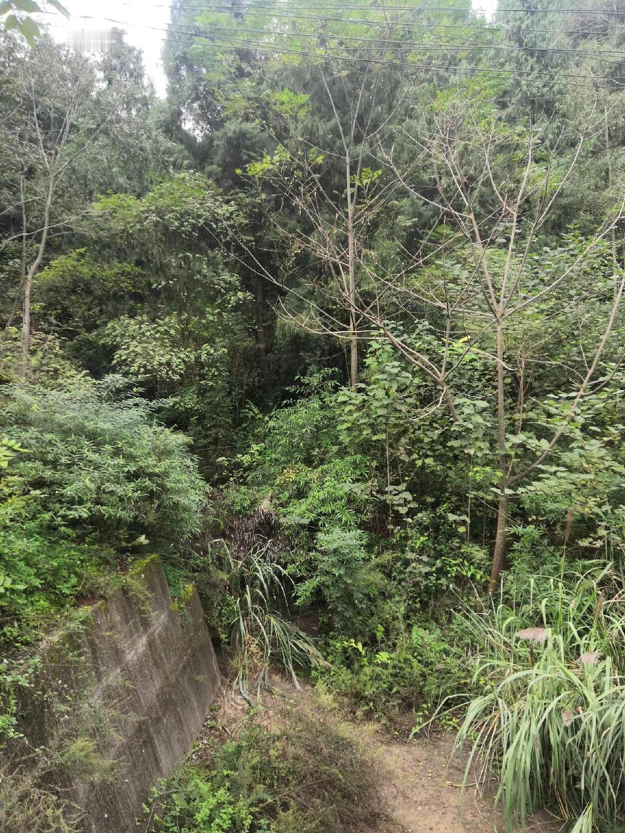 我的乡村生活大山里的原生态大山深处自然美山清水秀好风光我的农村生活农村生