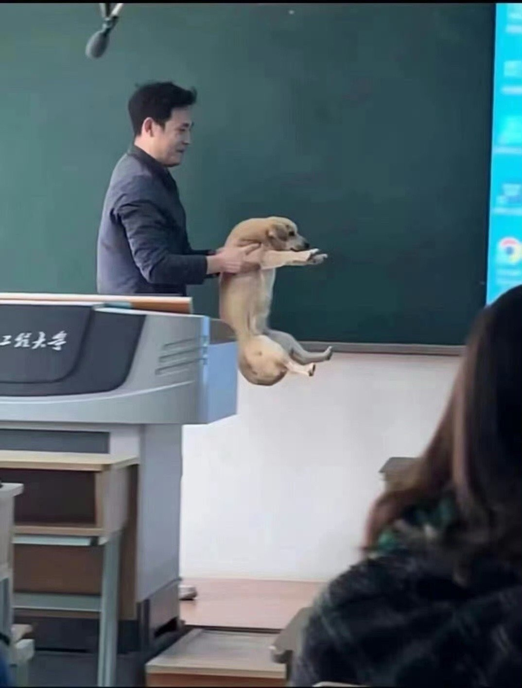 小狗：子曾经曰过，有教无类！！！