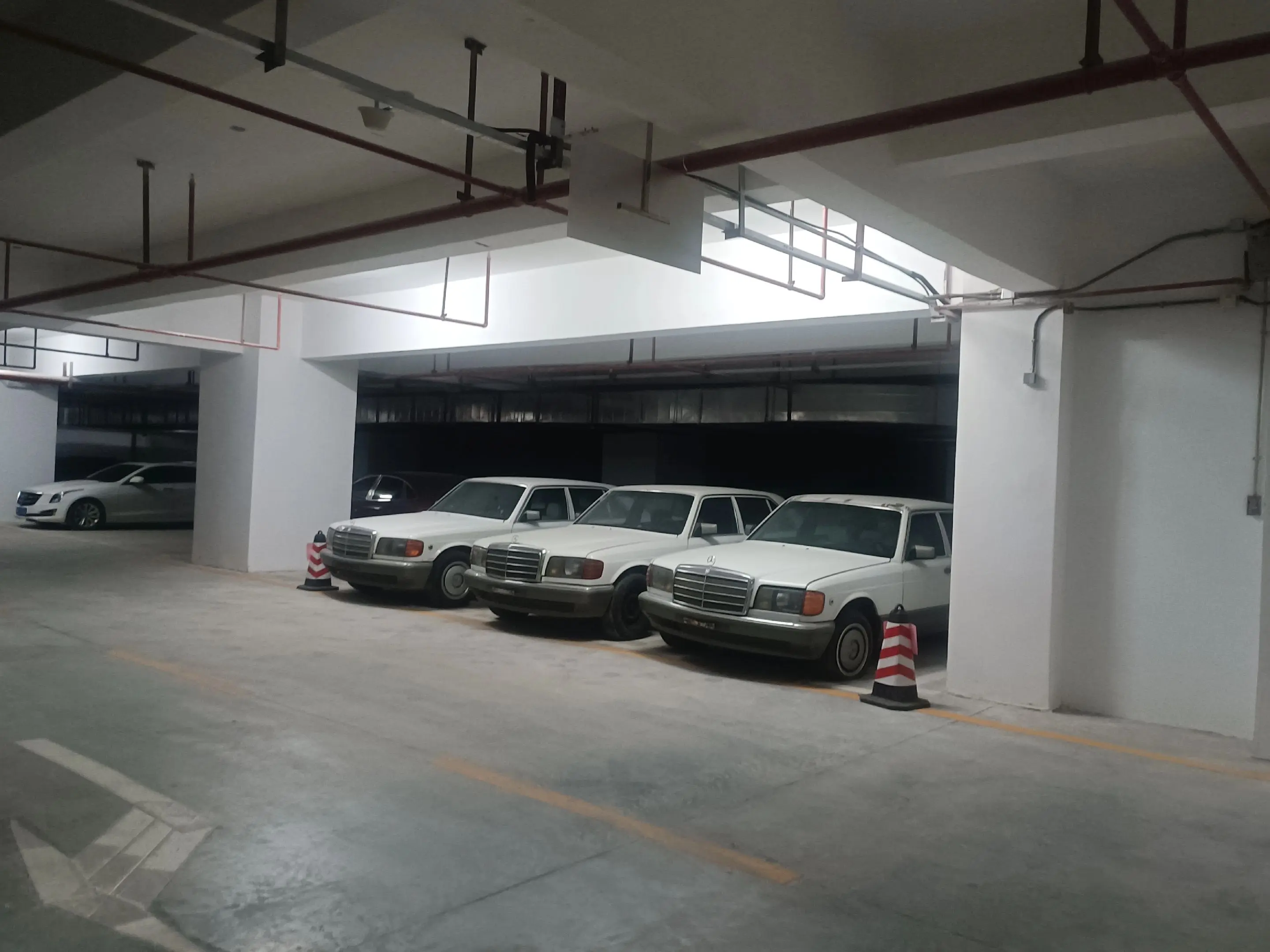 广州白天鹅宾馆 以前座驾 奔驰情怀车 分享