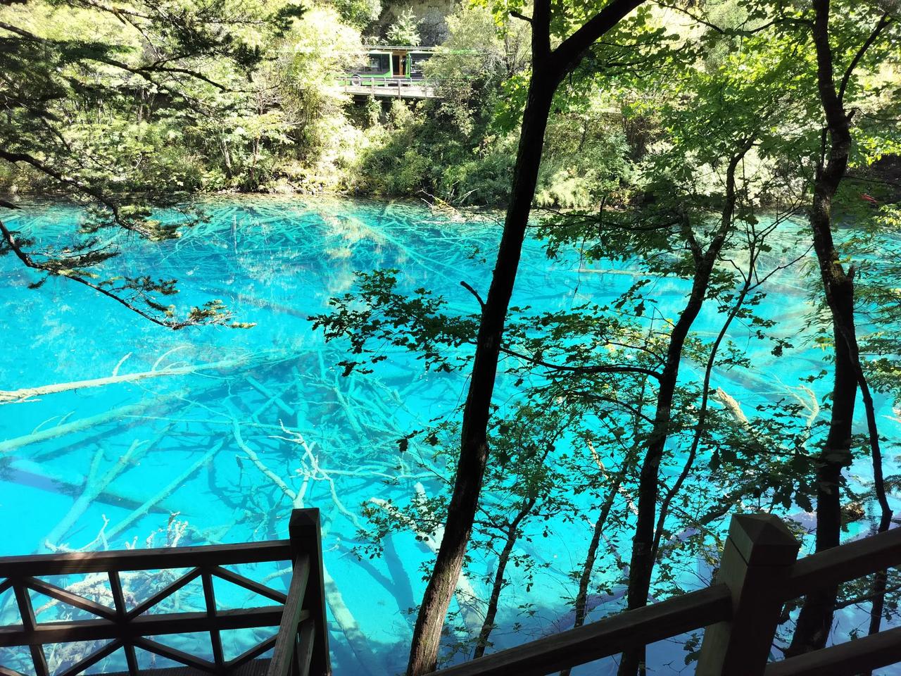 一句话记录春日心情中双色球一等奖