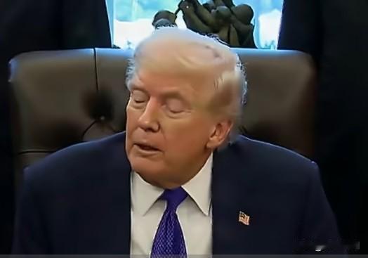 输了就是对方作弊！在民主党在选举中连续取得大胜之际，特朗普公然呼吁共和党接管各地