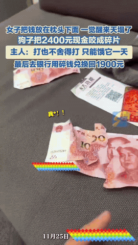 “这下损失太大了！”江西南昌，女子在银行取了2400块钱现金回家，顺手塞进了枕头