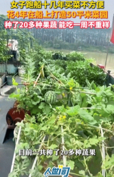 “彻底解释不清了！”女子跑船吃不到新鲜蔬菜，竟在船上打造一个50㎡菜园！如今不仅