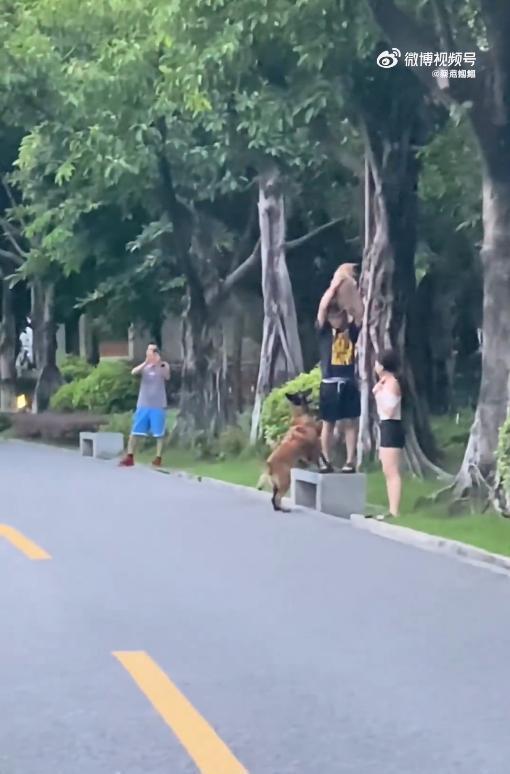 太可怕了！9月26日，广东，一对情侣在公园遛狗，突然，一只未拴绳的大狗扑了过来