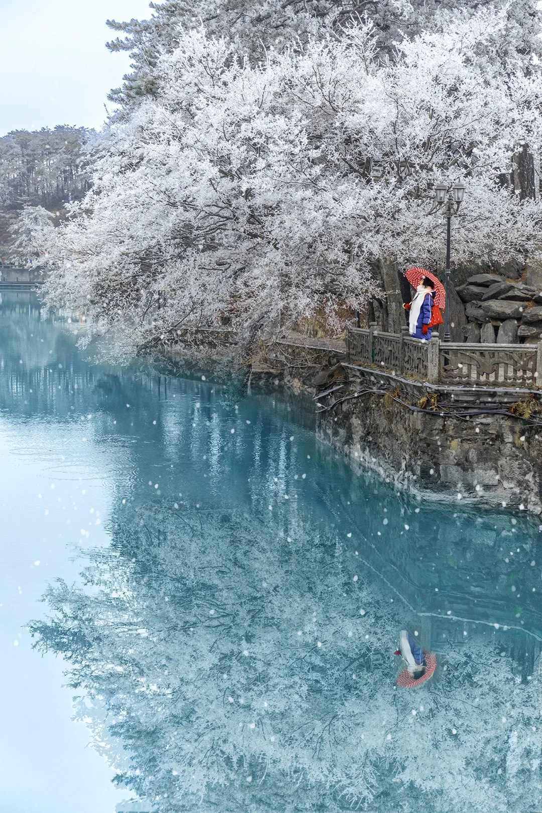 去过下雪的庐山，才明白南方的冬天多浪漫❄️