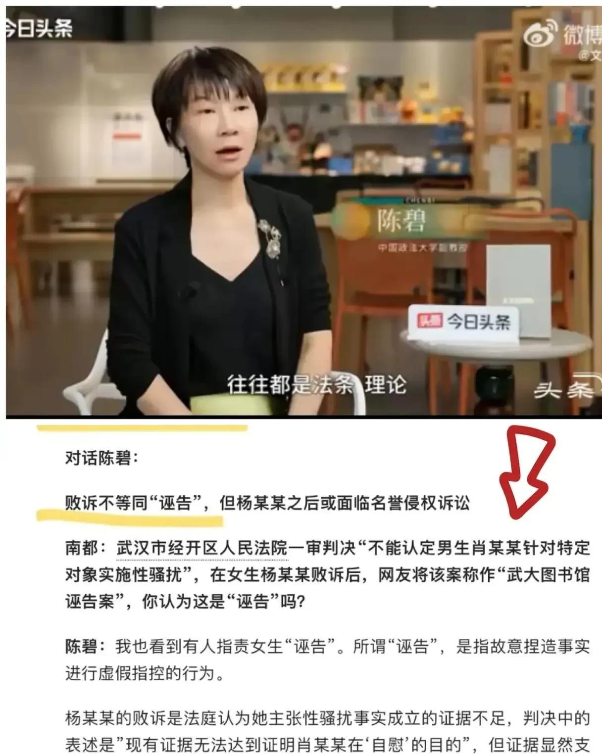 中国政法大学副教授陈碧为武汉大学杨景媛站台她说败诉也未必就是诬告我觉得她说