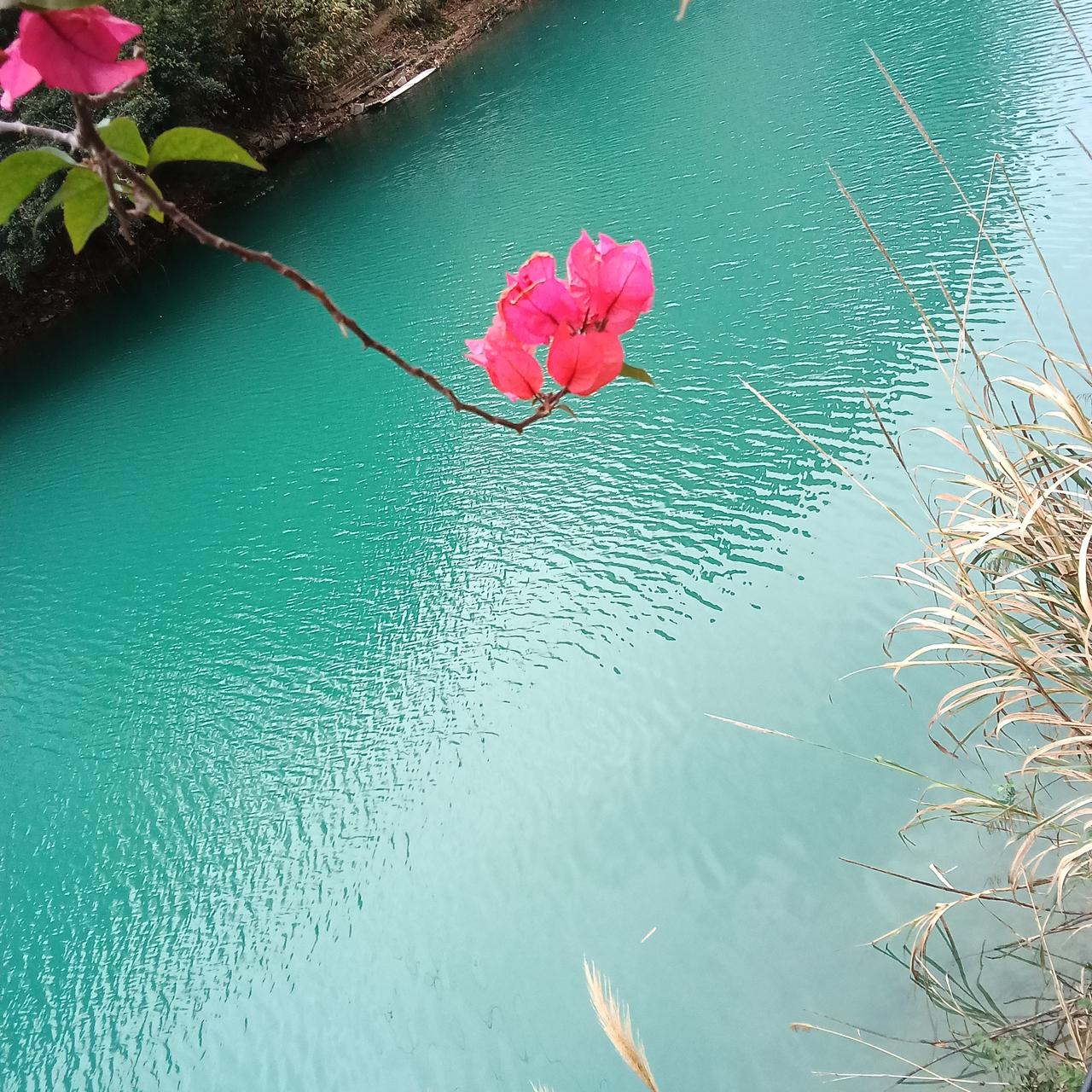 带状疱疹的元凶是免疫力低下菱姐给您出提高免疫力的建议2月末，我不信换上了带