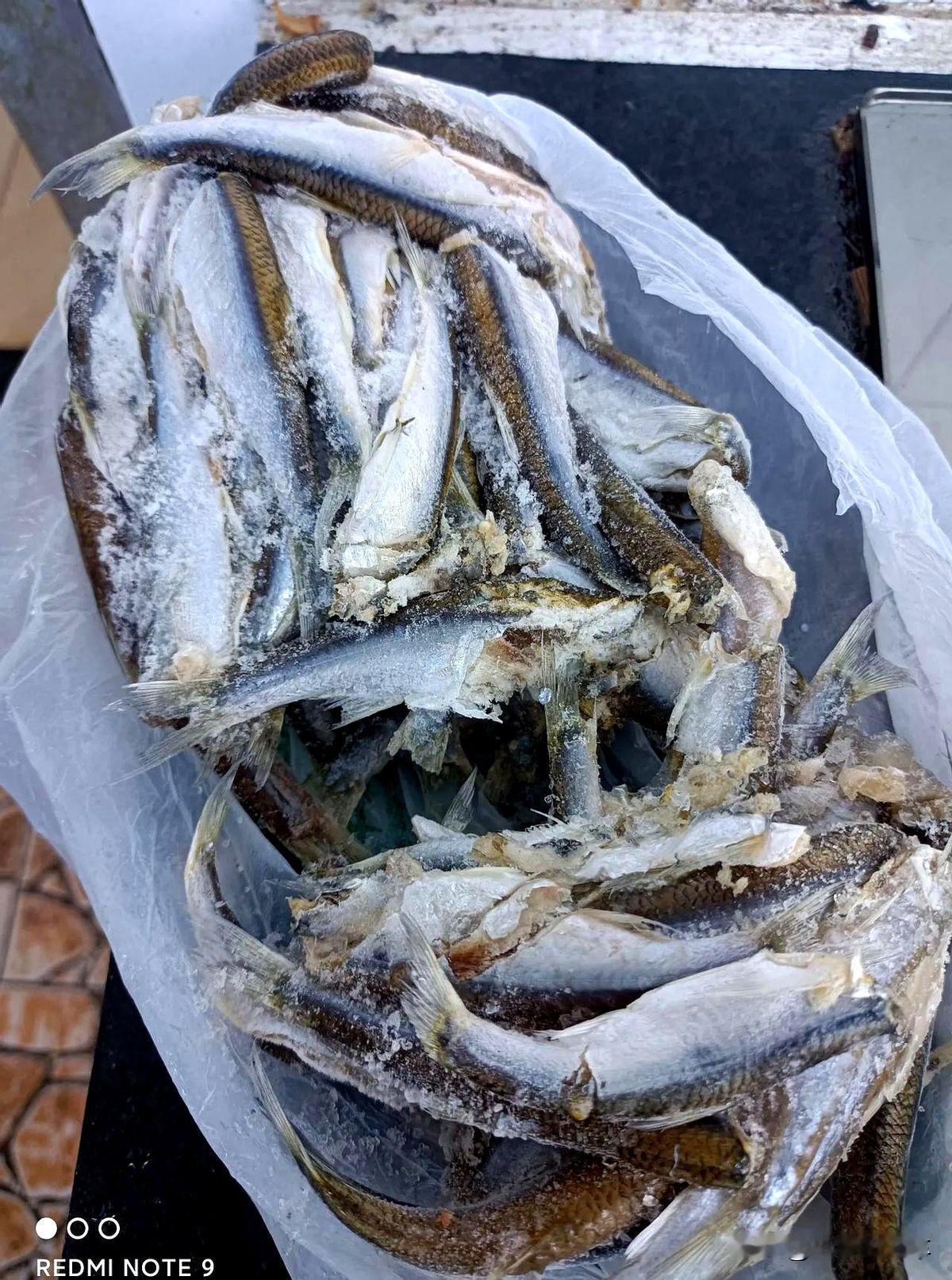 最近几晚上我的失眠之症有了很大改善迹象，我发觉失眠确实与饮食有很大关系，以前每顿