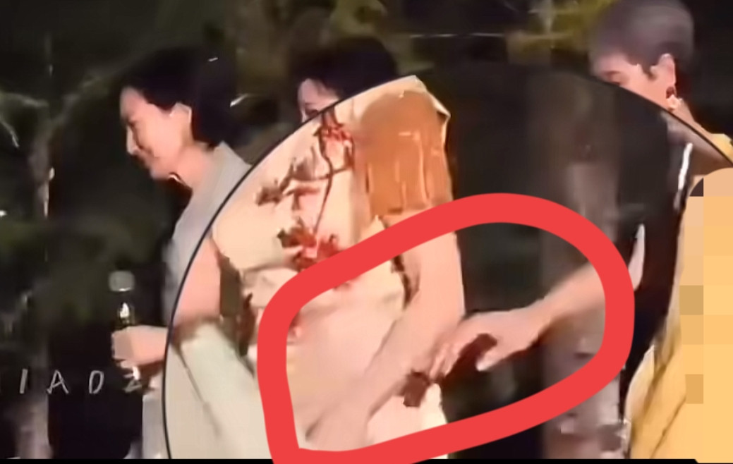 难怪叶童会退赛不知道大家注意到没有，在一次演出中，叶童多次牵赵雅芝