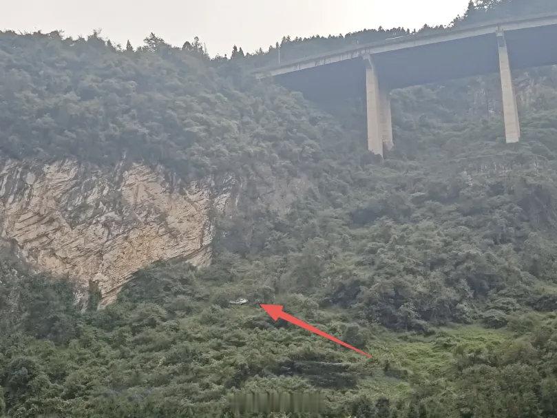 领克还是硬核啊。车主在四川泸州出事，车子翻下了近百米落差的悬崖底。车子乘员舱结构完整，ABC柱无变形