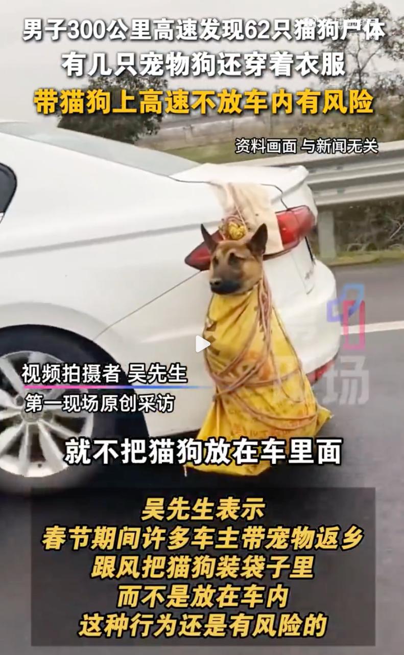 太缺德了！2月25日，四川的吴先生驾车前往重庆，在高速上，竟然发现了62具猫狗的