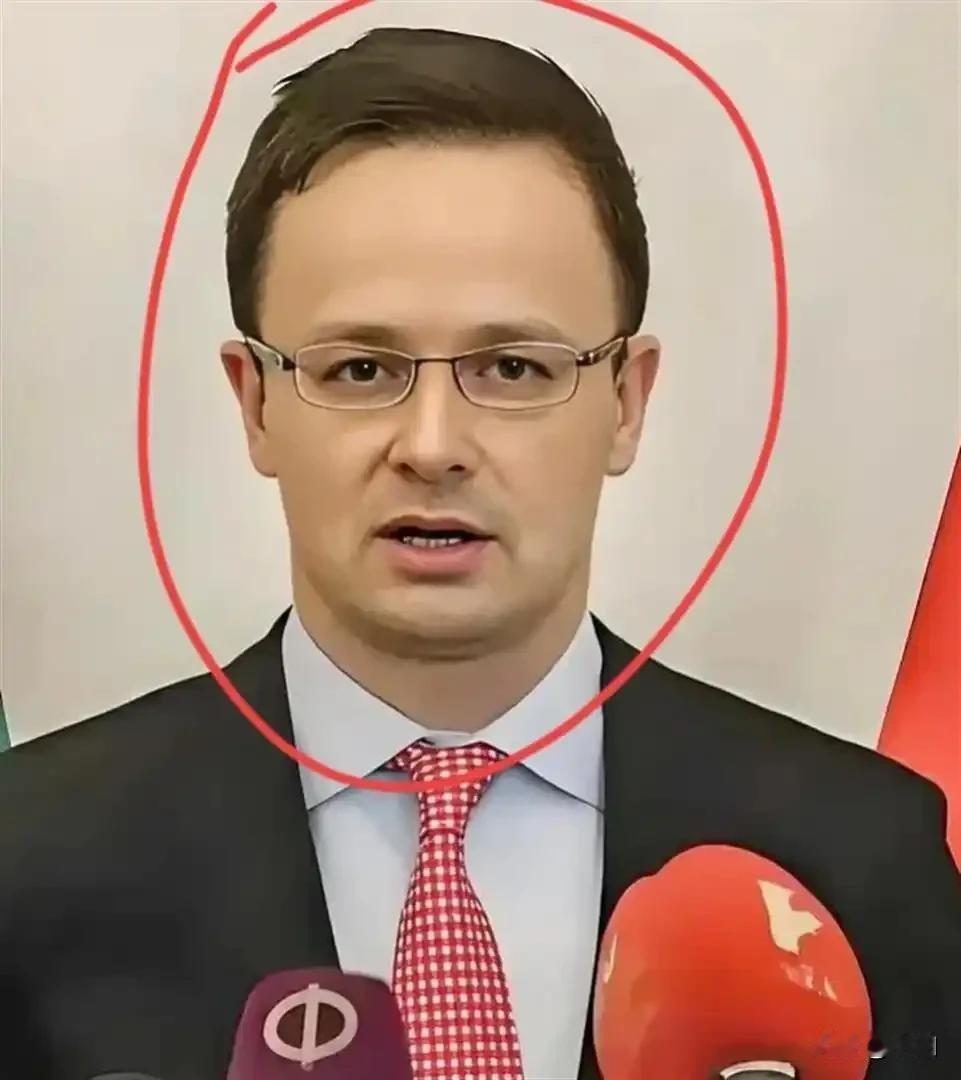 匈牙利外长今天宣布:2026年2月3日，匈牙利外长西雅尔多正式宣布，匈牙利已