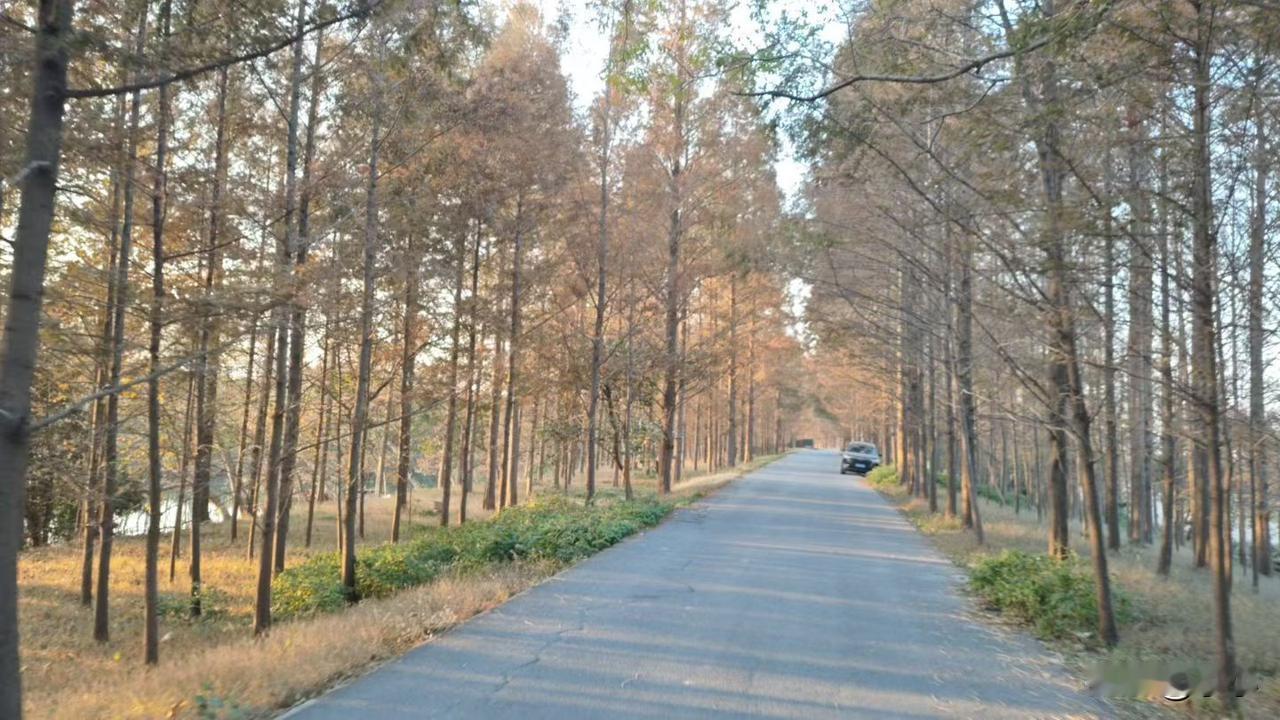 现在的人负债，一人负债连累家人，连人至亲所有人。我表哥负债，大姑妈都60多岁