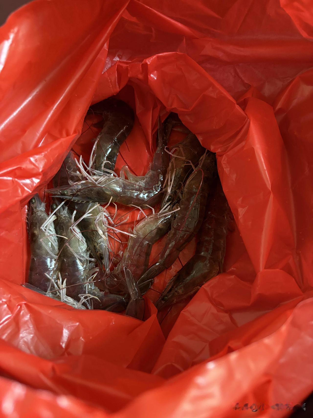 当妈妈后，真的就是生活中的各方面都在节约用钱。唯独对自己的孩子大方昨天路过卖