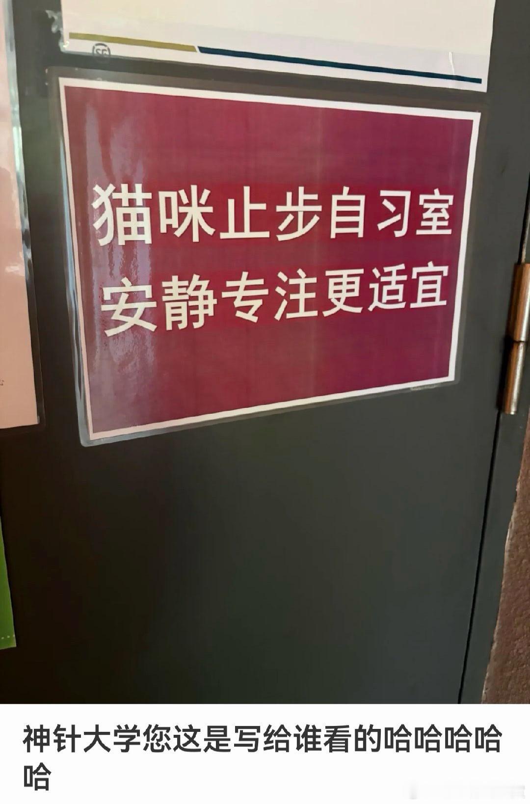 小猫走路又没有声音的